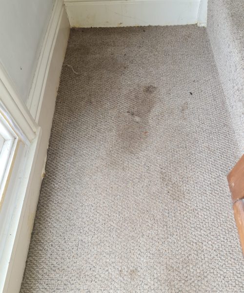 before hall carpet cleaning - Skyline Cleaning before hall carpet cleaning - Skyline Cleaning