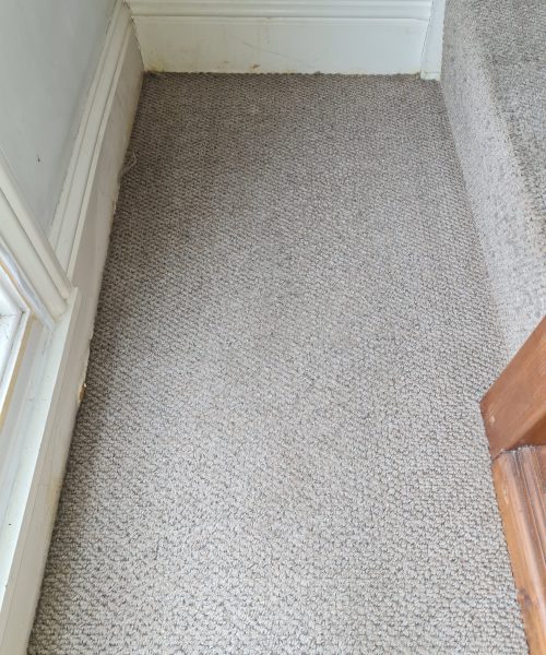 after hall carpet cleaning - Skyline Cleaning after hall carpet cleaning - Skyline Cleaning