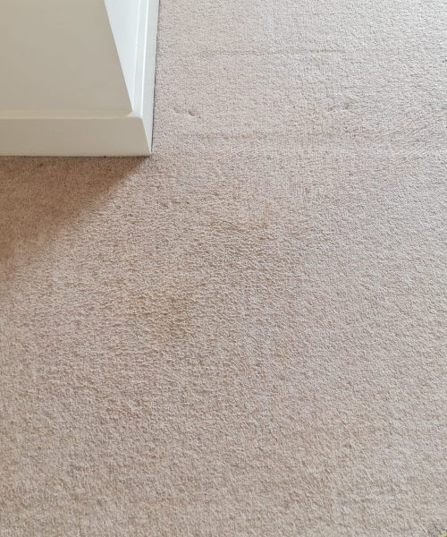 after stain carpet cleaning - Skyline Cleaning after stain carpet cleaning - Skyline Cleaning